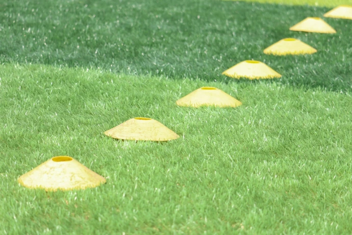 a group of yellow objects on a green surface
